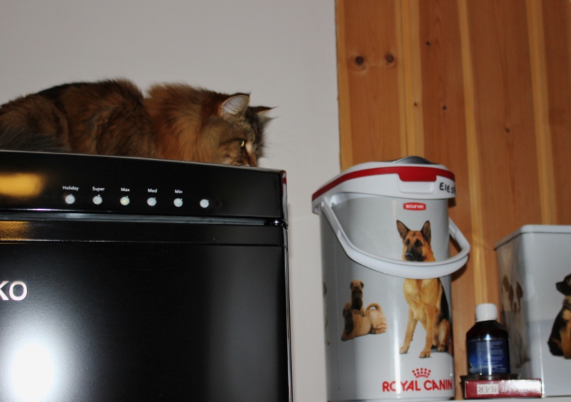 Med utsikt til mye godt