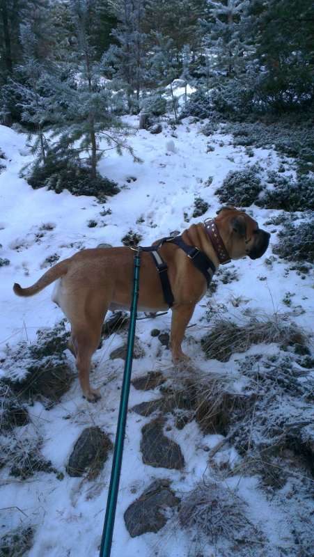 Starten på turen vår