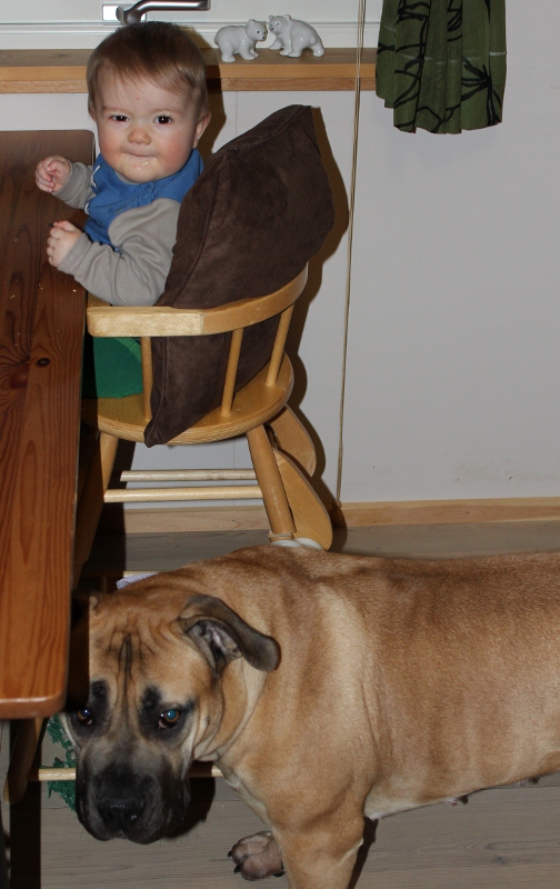 Neida, vi gjør ikke noe vi ikke skal