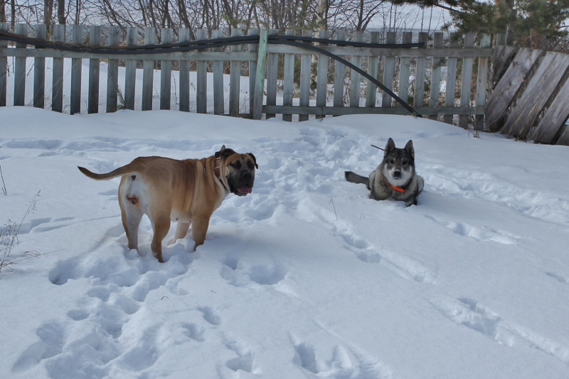 To som begynner å bli slitne 