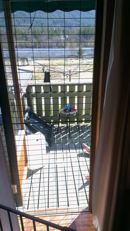 Nettindør / insektsdør