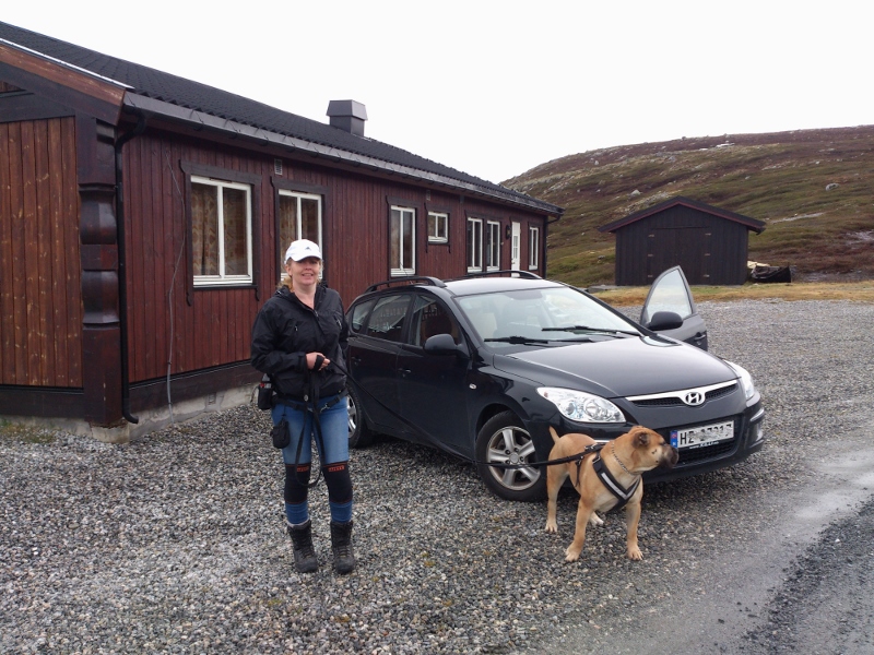 Så er vi oppe ved Aursjobrakka