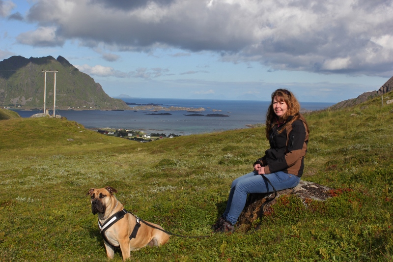 Boerboel på fjellet
