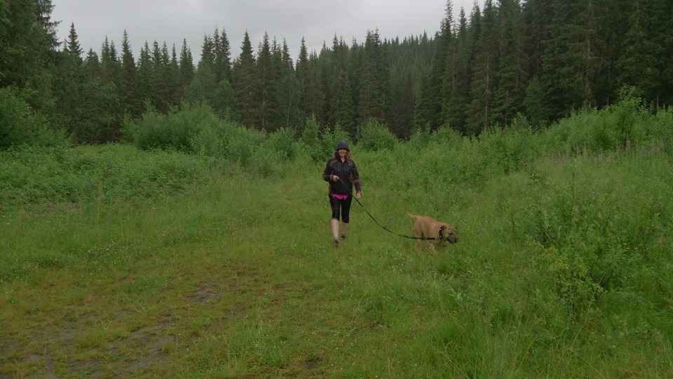 10514728_1526720994214440_7388439792978880076_n