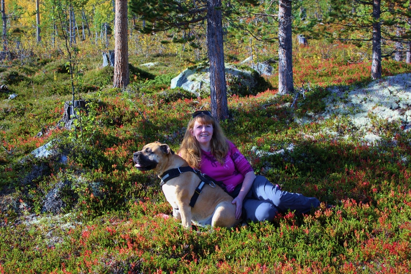boerboel kos i skogen