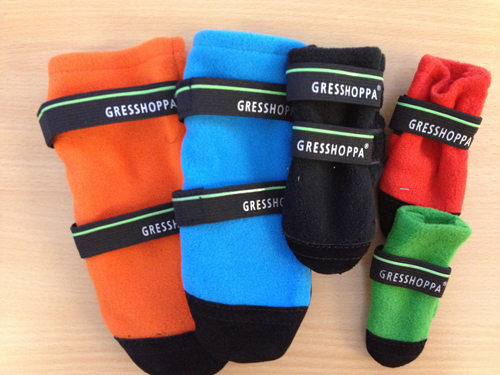 bilde fra paratuspet.no