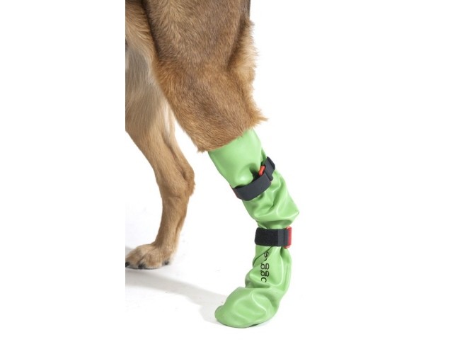 bilde fra hundeutstyr.no