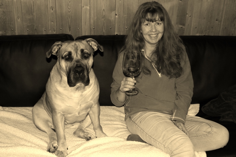 boerboel godt nytt år