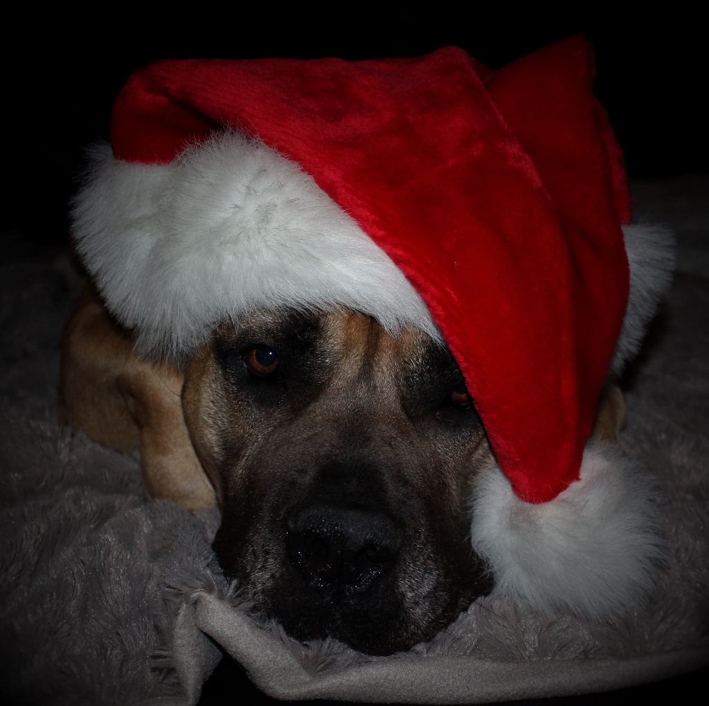 IMG_1962 (1024x1020)