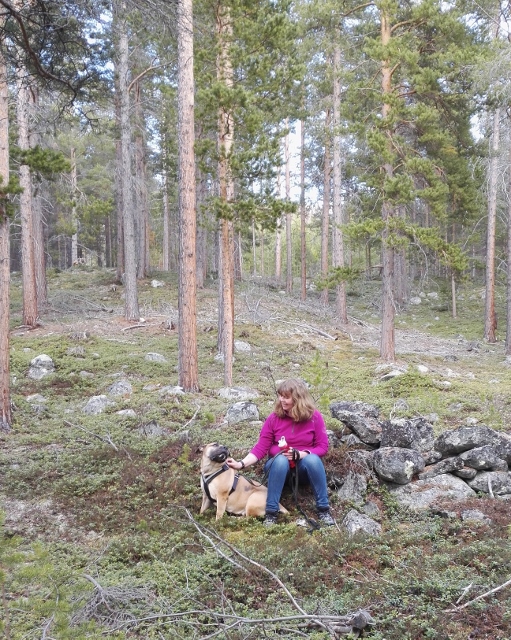 IMG_20160408_154739 (511x640).jpg