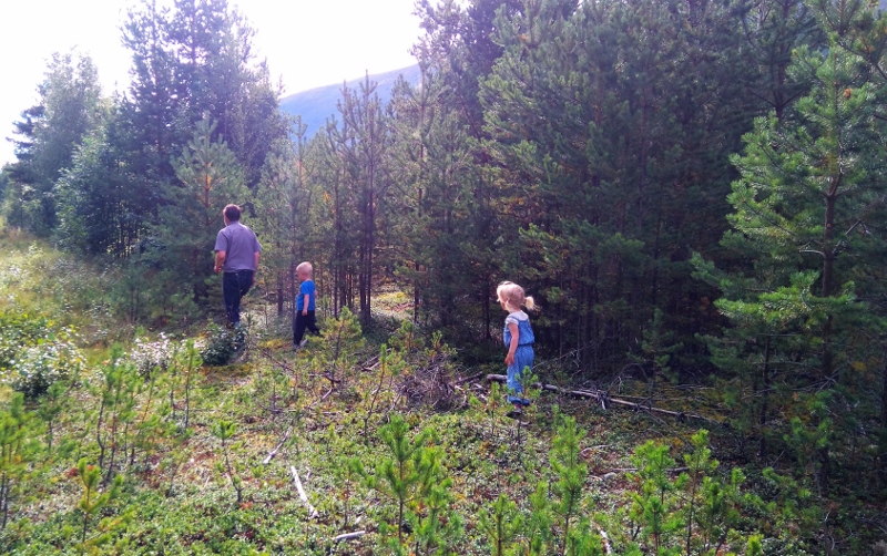 DSC_0008 (5) (800x502)