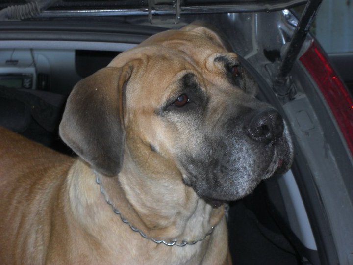 46989_1578234009896_3505981_n-720x540