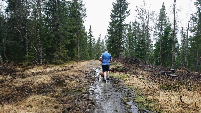 _20170528_145351 (800x450)