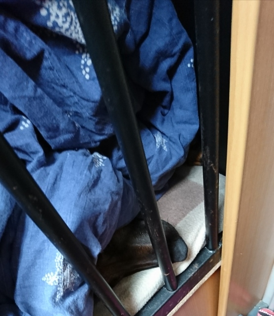 _20170602_192436 (556x640)