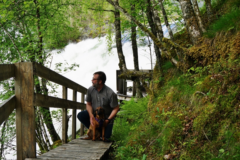 DSC02638 (800x533) (2)