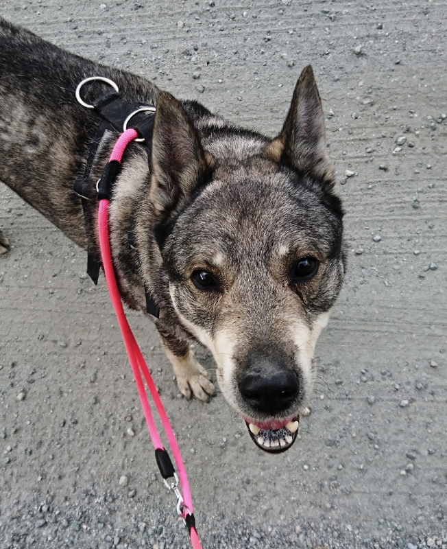 _20170702_145922 (652x800)