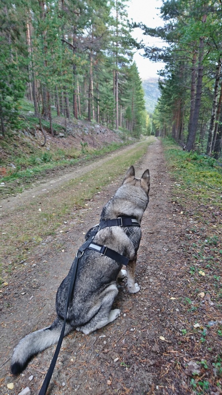 DSC_0574 (2) (450x800)