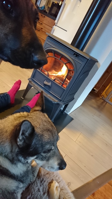 DSC_0023 (3) (360x640)