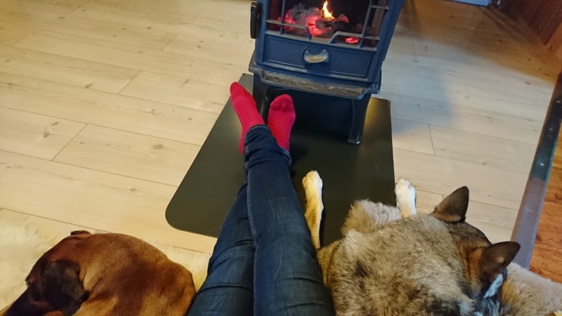 DSC_0025 (4) (800x450)