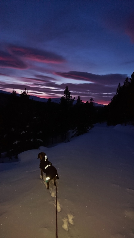 DSC_0250 (2) (450x800)