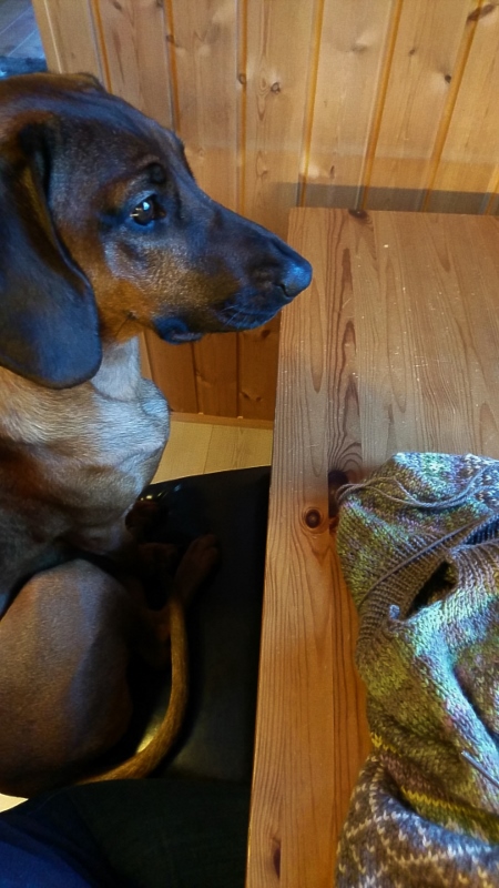 Snapchat-1968317637 (450x800)