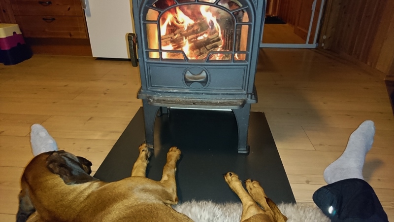 DSC_0628 (1) (800x450)