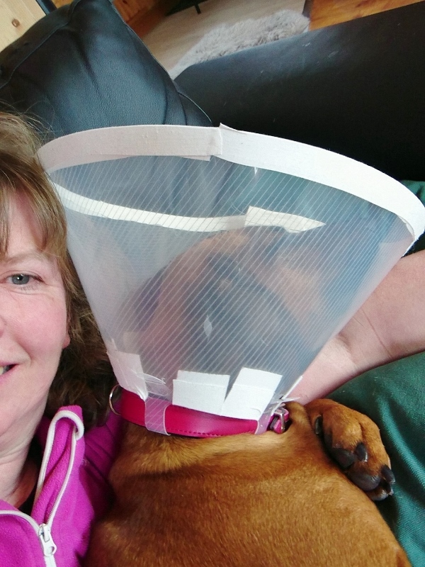 Snapchat-426314788 (600x800)