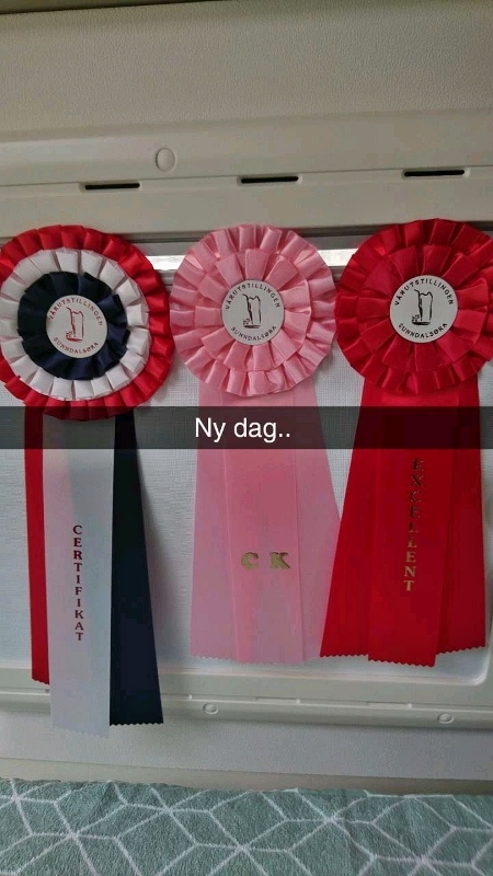 Snapchat-122267819 (450x800)