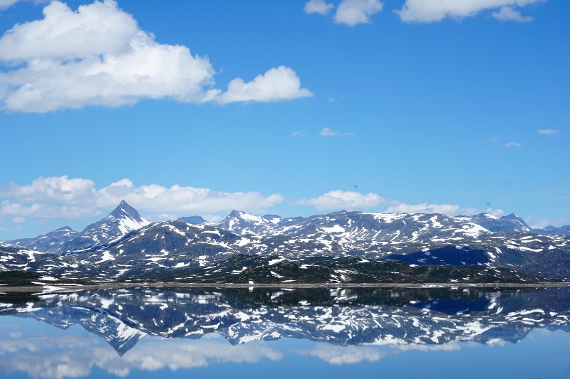 DSC05987 (800x533).jpg