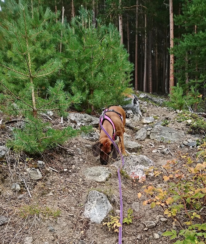 Snapchat-705638394 (676x800)