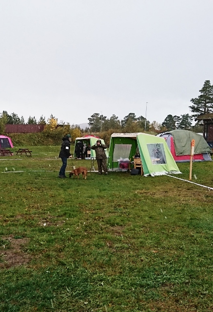 _20180923_133308 (437x640)