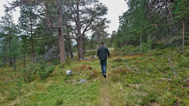 DSC_2061 (1) (800x450)