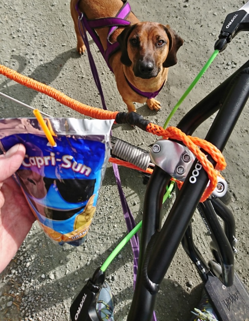 DSC_2143 (1) (496x640)