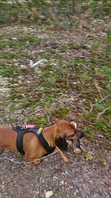 Snapchat-1240267047 (360x640)