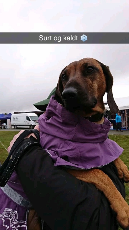 Snapchat-247208084 (450x800)