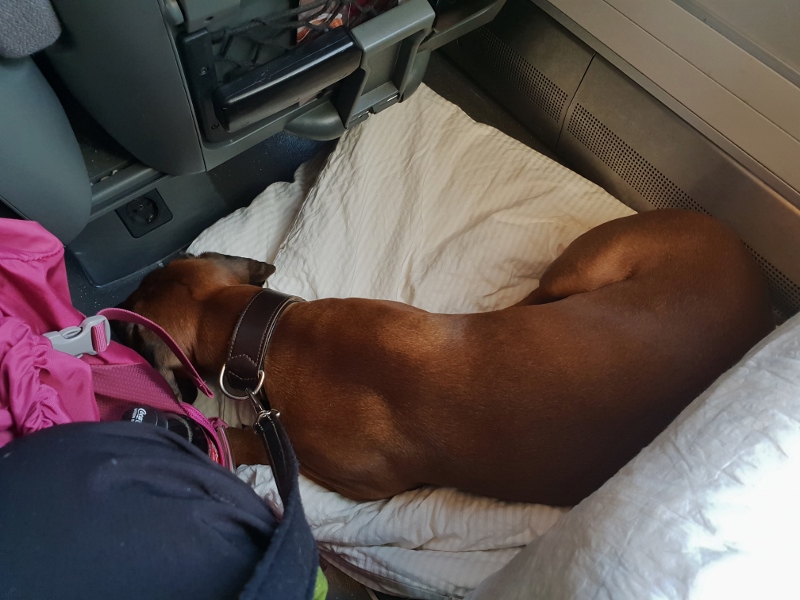 20181025_115940 (800x600)