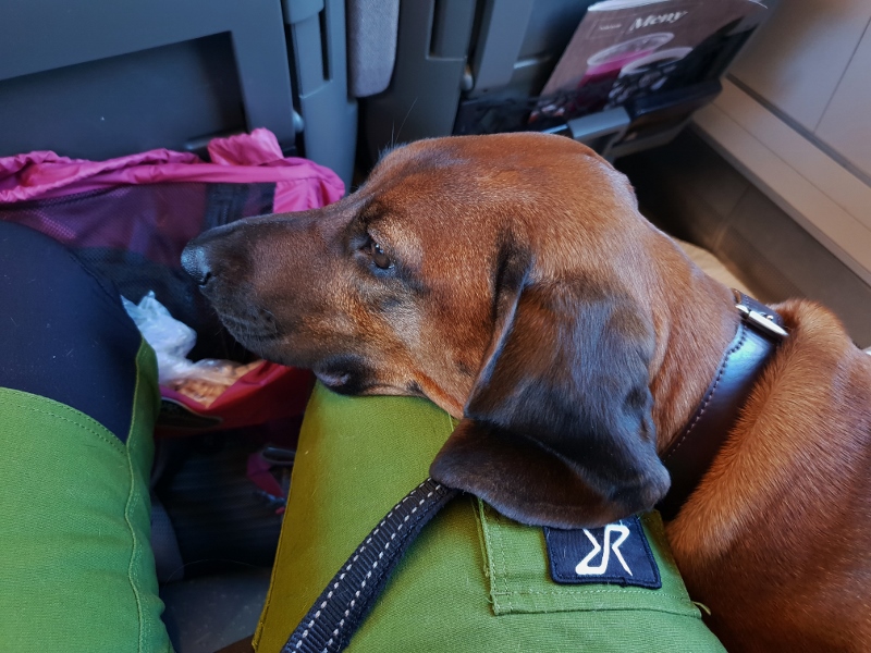 20181025_122645 (800x600)