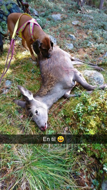 Snapchat-1049472787 (450x800)