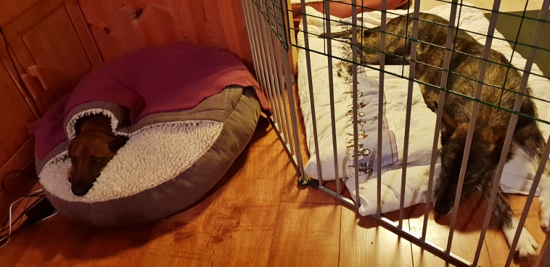 20181224_194958 (800x389)