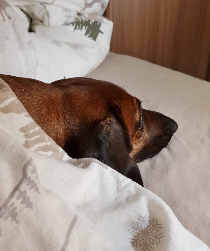 20181228_204821 (670x800)