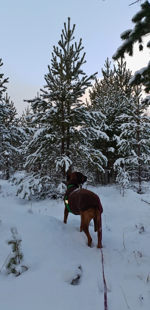 20190102_131634 (311x640)