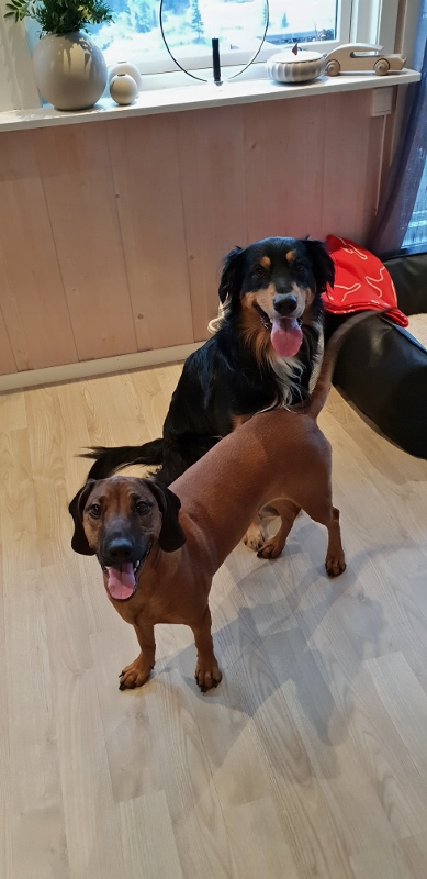 20190112_130912 (389x800)