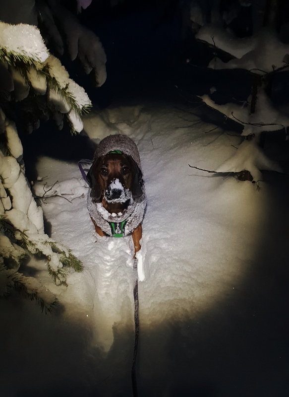 20190115_163544 (583x800)