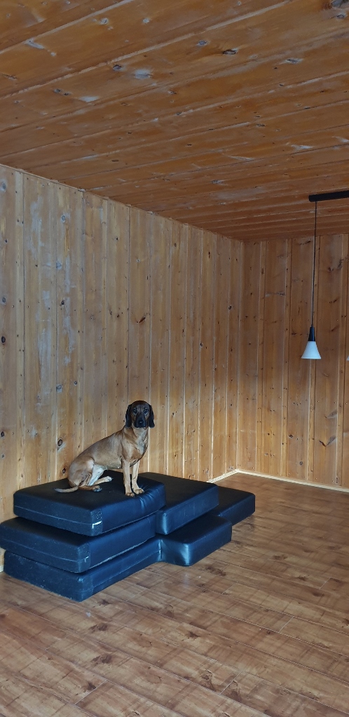 20190224_171115 (498x1024)