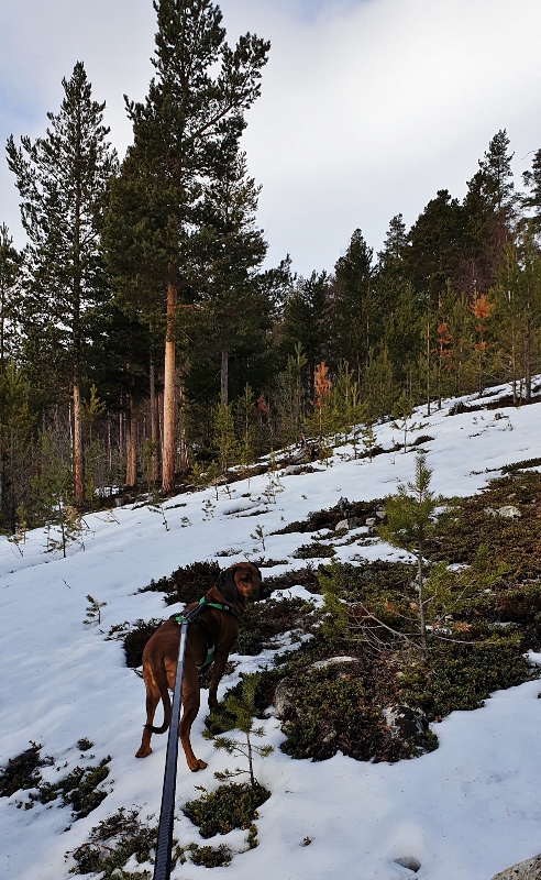 20190301_130158 (492x800)