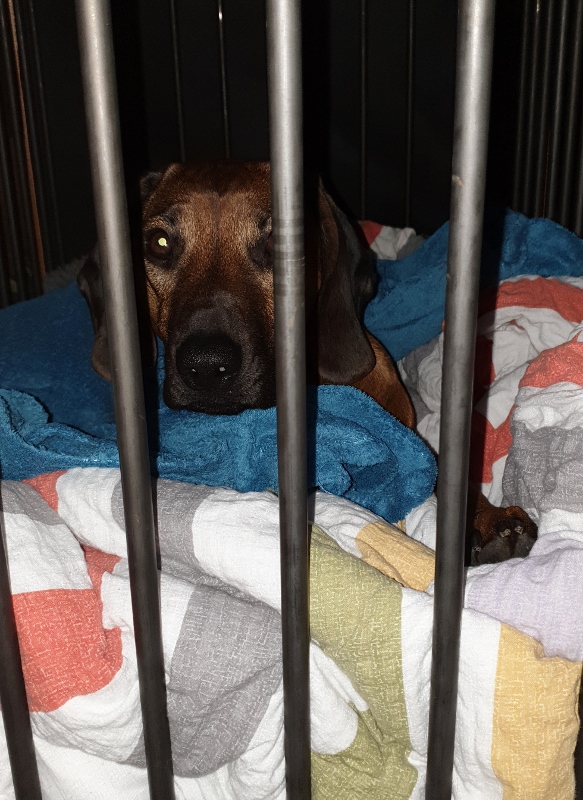 20190306_143942 (583x800)