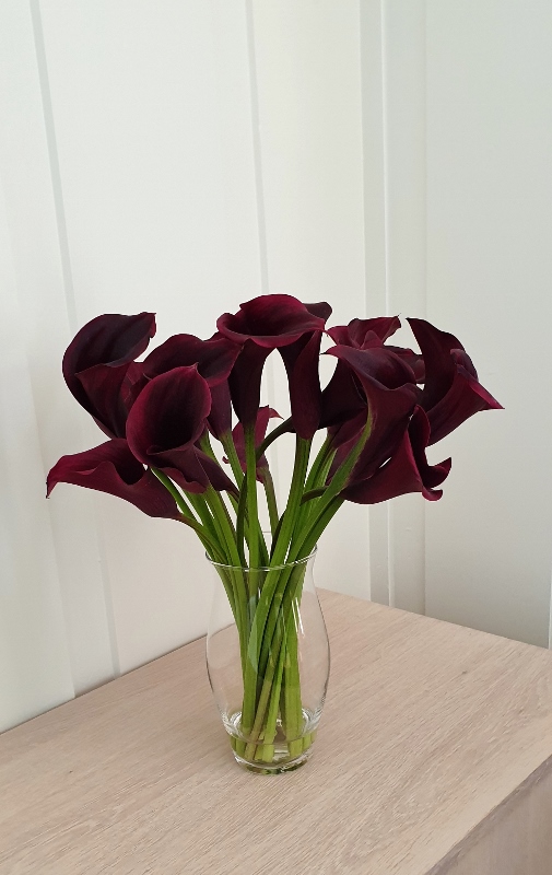 20190322_143904 (505x800)