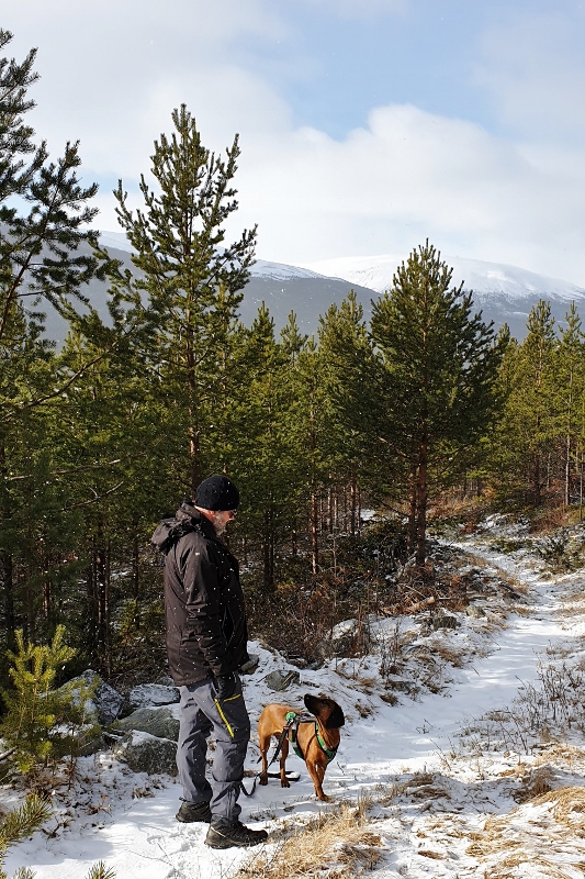 20190331_112911 (533x800)