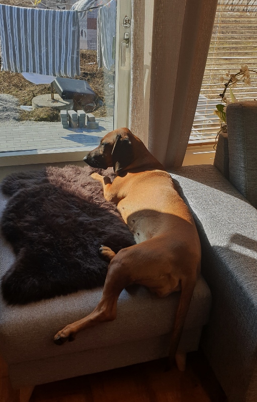 20190406_120857 (511x800)