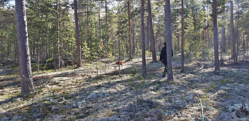 20190410_162403(0) (800x389)